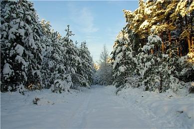 《死亡空间：重制版》太吓人 晚上戴耳机不敢玩